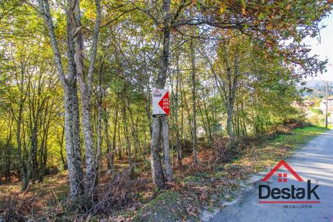 Terreno para venda em Travanca - São Félix