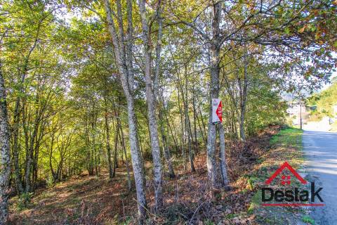 Terreno para venda em Travanca - São Félix