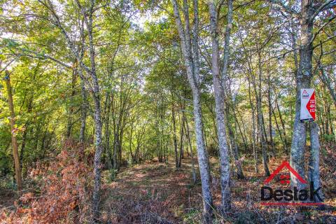 Terreno para venda em Travanca - São Félix
