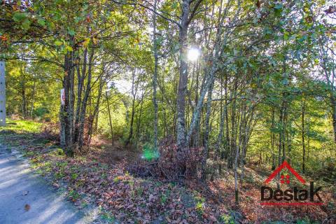 Terreno para venda em Travanca - São Félix