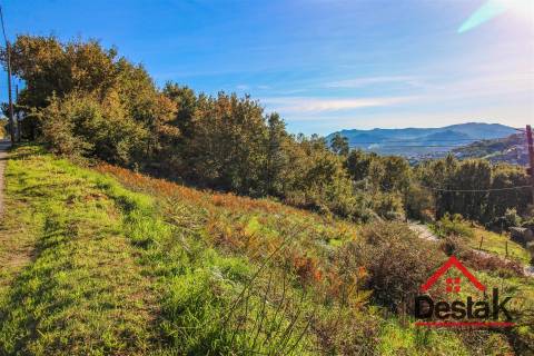 Terreno para venda em Travanca - São Félix