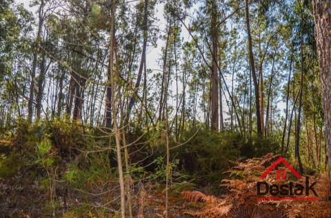 Terreno para venda em Carvalhais - Casal da Renda