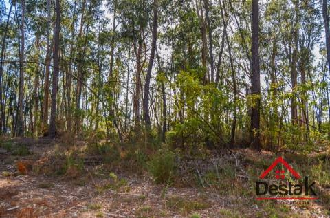 Terreno para venda em Carvalhais - Casal da Renda