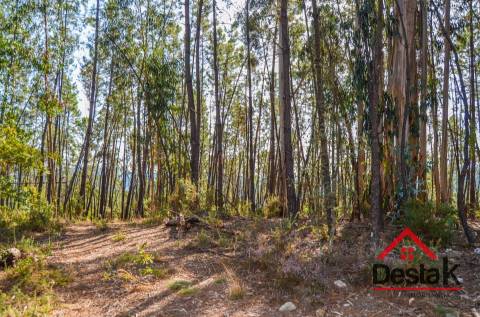Terreno para venda em Carvalhais - Casal da Renda