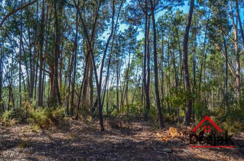 Terreno para venda em Carvalhais - Casal da Renda
