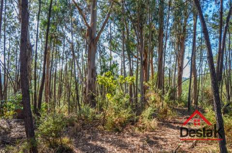 Terreno para venda em Carvalhais - Casal da Renda