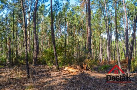 Terreno para venda em Carvalhais - Casal da Renda