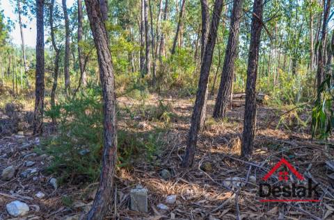 Terreno para venda em Carvalhais - Casal da Renda