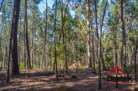Terreno para venda em Carvalhais - Casal da Renda