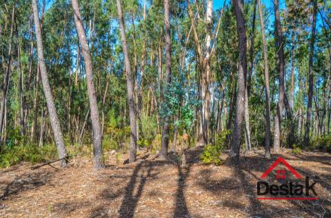 Terreno para venda em Carvalhais - Casal da Renda
