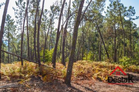 Terreno para venda em Carvalhais - Casal da Renda