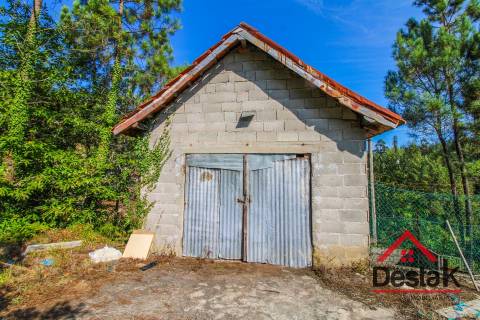 Quinta à venda em São Pedro do Sul Sul