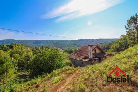 Quinta à venda em São Pedro do Sul Sul
