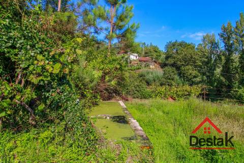 Quinta à venda em São Pedro do Sul Sul