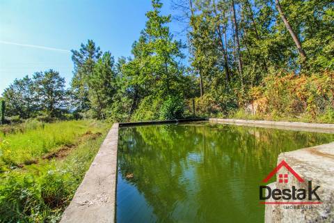 Quinta à venda em São Pedro do Sul Sul