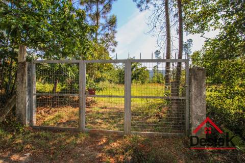 Quinta à venda em São Pedro do Sul Sul