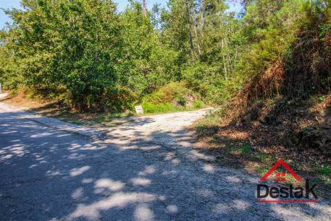 Quinta à venda em São Pedro do Sul Sul