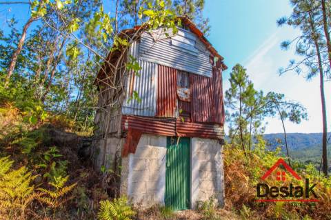 Quinta à venda em São Pedro do Sul Sul