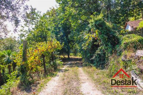 Quinta à venda em São Pedro do Sul Sul