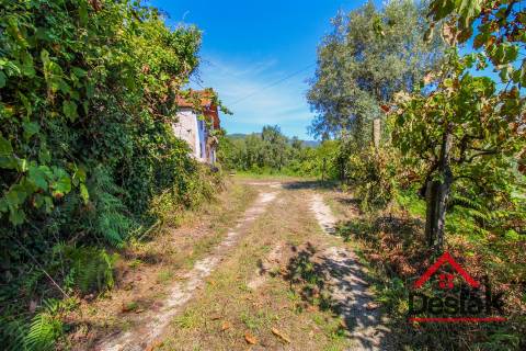 Quinta à venda em São Pedro do Sul Sul
