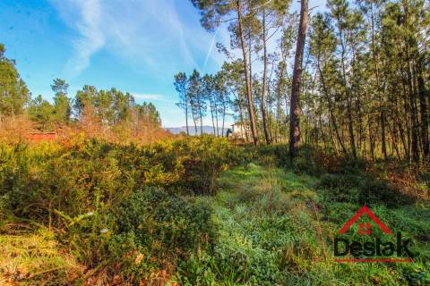 Terreno para venda em São Pedro do Sul