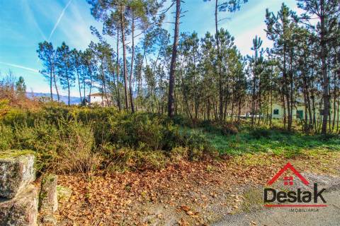 Terreno para venda em São Pedro do Sul