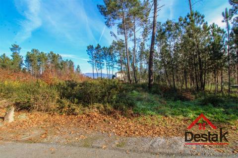 Terreno para venda em São Pedro do Sul