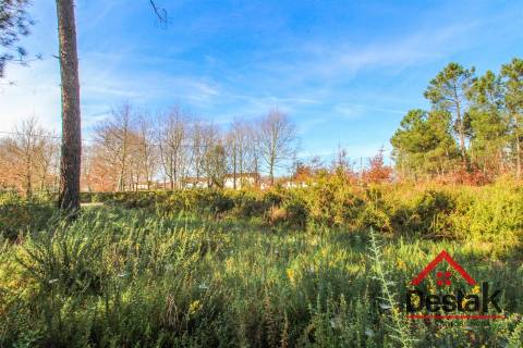 Terreno para venda em São Pedro do Sul