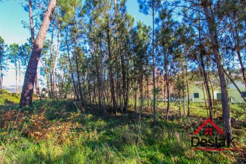 Terreno para venda em São Pedro do Sul