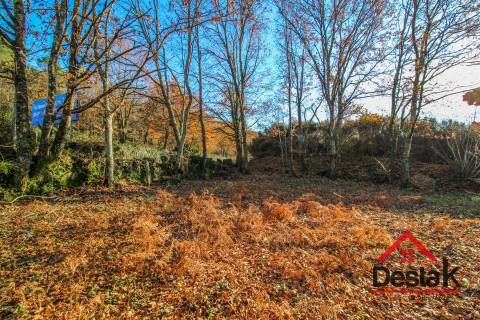 Terreno rústico com viabilidade de construção em São Pedro do Sul