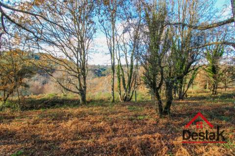 Terreno rústico com viabilidade de construção em São Pedro do Sul