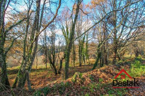 Terreno rústico com viabilidade de construção em São Pedro do Sul