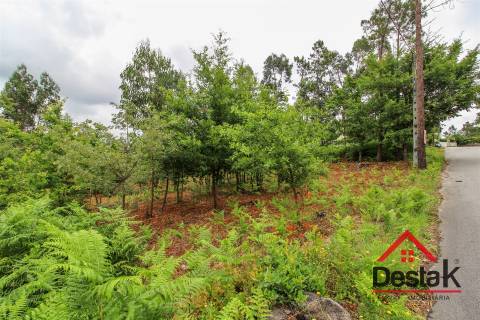 Terreno para venda nas Termas de São Pedro do Sul