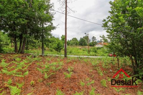 Terreno para venda nas Termas de São Pedro do Sul