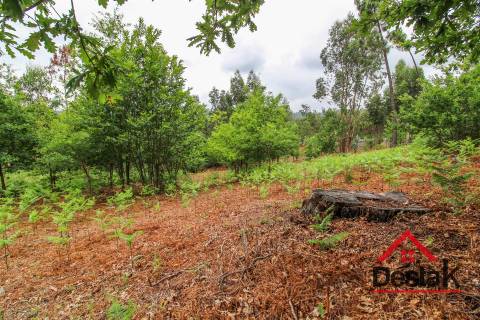 Terreno para venda nas Termas de São Pedro do Sul
