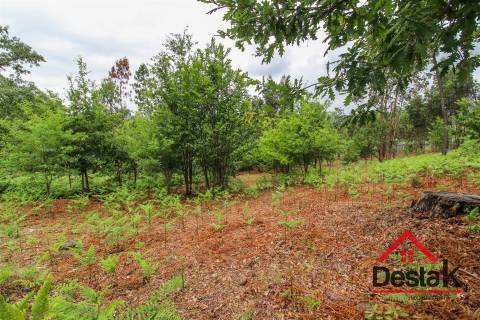 Terreno para venda nas Termas de São Pedro do Sul