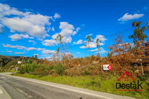 Terreno com viabilidade de construção em São Pedro do Sul