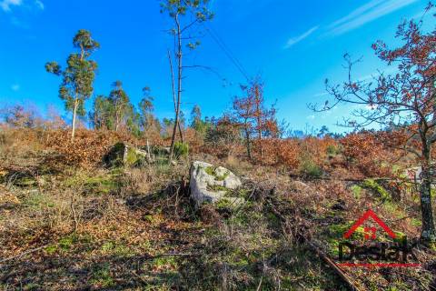 Terreno com viabilidade de construção em São Pedro do Sul