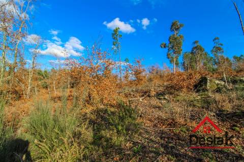 Terreno com viabilidade de construção em São Pedro do Sul