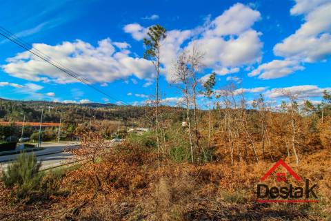 Terreno com viabilidade de construção em São Pedro do Sul