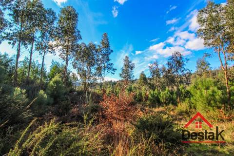 Terreno com viabilidade de construção em São Pedro do Sul