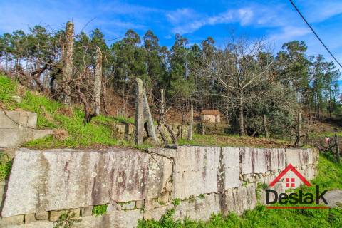 Terreno com uma área de 6000 m², sito às portas das Termas de São Pedro do Sul