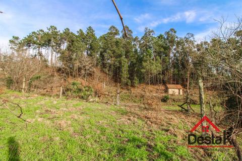 Terreno com uma área de 6000 m², sito às portas das Termas de São Pedro do Sul