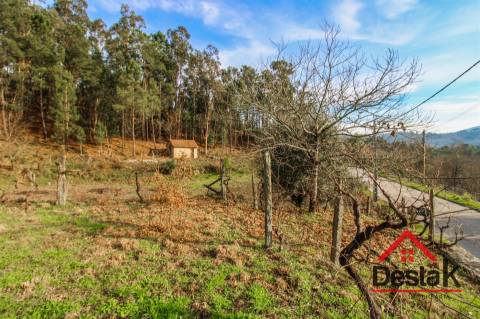 Terreno com uma área de 6000 m², sito às portas das Termas de São Pedro do Sul
