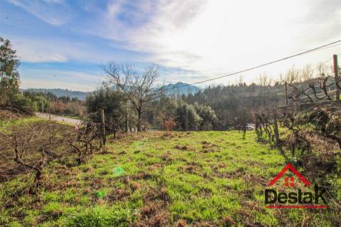Terreno com uma área de 6000 m², sito às portas das Termas de São Pedro do Sul