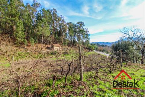 Terreno com uma área de 6000 m², sito às portas das Termas de São Pedro do Sul