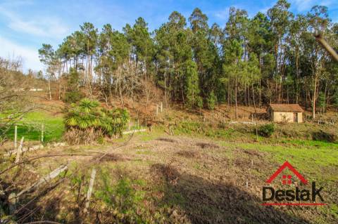 Terreno com uma área de 6000 m², sito às portas das Termas de São Pedro do Sul