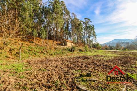 Terreno com uma área de 6000 m², sito às portas das Termas de São Pedro do Sul