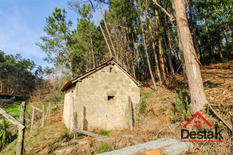 Terreno com uma área de 6000 m², sito às portas das Termas de São Pedro do Sul