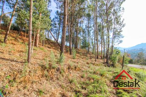 Terreno com uma área de 6000 m², sito às portas das Termas de São Pedro do Sul